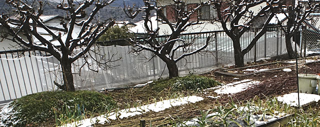 この冬３回目の積雪